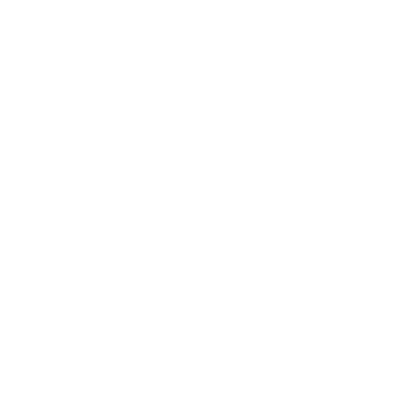 Lead Management